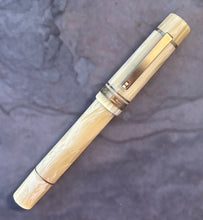 Load image into Gallery viewer, Delta New Gallery Tech & Web Fountain Pen