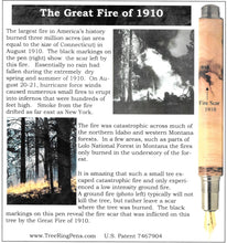 Load image into Gallery viewer, Three Tree Pens &quot;The Great Fire of 1910&quot;