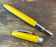 Load image into Gallery viewer, Visconti Van Gogh Fountain Pen - Sunflowers