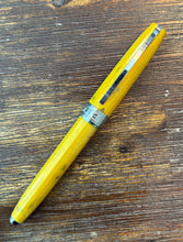 Load image into Gallery viewer, Visconti Van Gogh Fountain Pen - Sunflowers