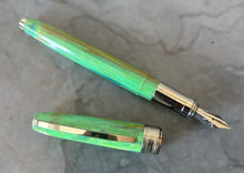 Load image into Gallery viewer, Visconti Van Gogh Fountain Pen - Irises