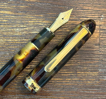 Load image into Gallery viewer, Platinum 3776 Century - Celluloid Tortoise