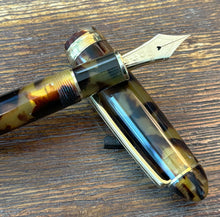 Load image into Gallery viewer, Platinum 3776 Century - Celluloid Tortoise