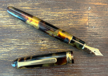 Load image into Gallery viewer, Platinum 3776 Century - Celluloid Tortoise