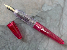 Load image into Gallery viewer, Pilot Pluminix Fountain Pen Italic Calligraphy / Red