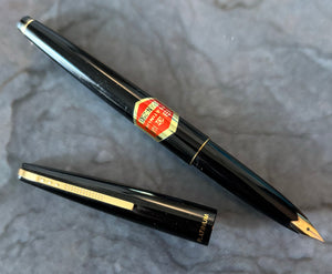 Platinum, PAM-250 Fountain pen
