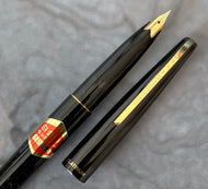 Platinum, PAM-250 Fountain pen