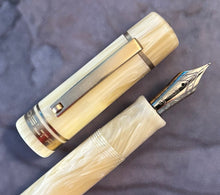 Load image into Gallery viewer, Delta New Gallery Tech &amp; Web Fountain Pen