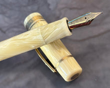 Load image into Gallery viewer, Delta New Gallery Tech &amp; Web Fountain Pen