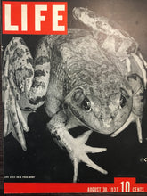 Load image into Gallery viewer, Sheaffer&#39;s Visulated, Life Magazine, August 30, 1937