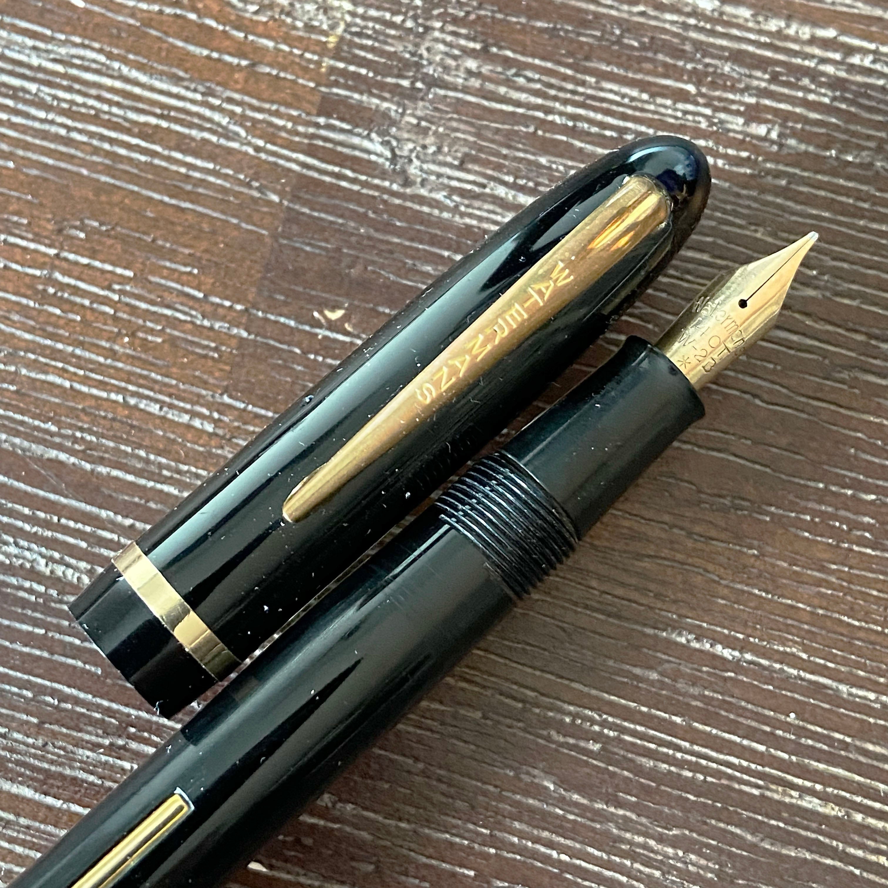 Waterman Champion 501