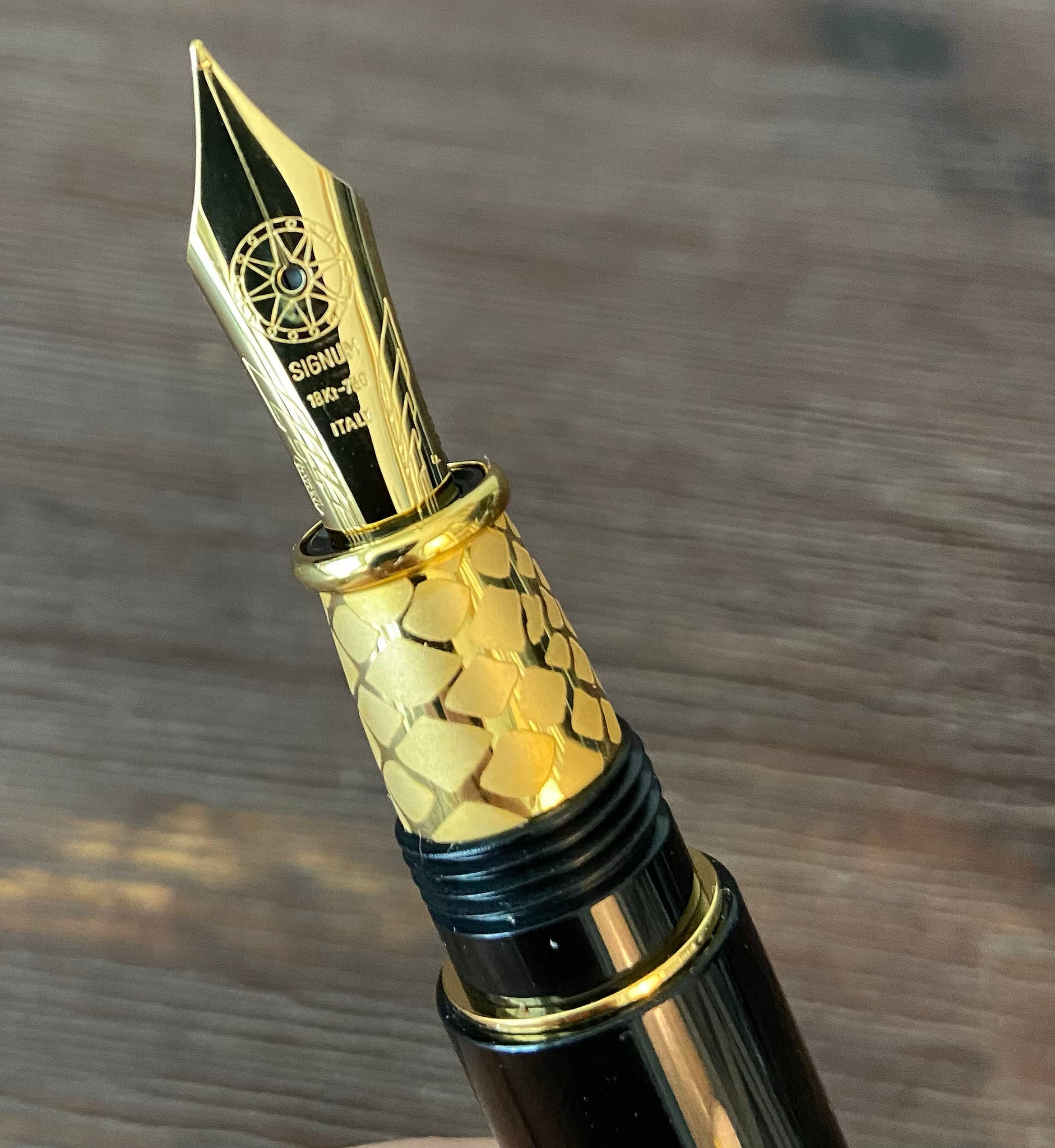 Signum Nova Natural Python Cocoa, Fountain Pen