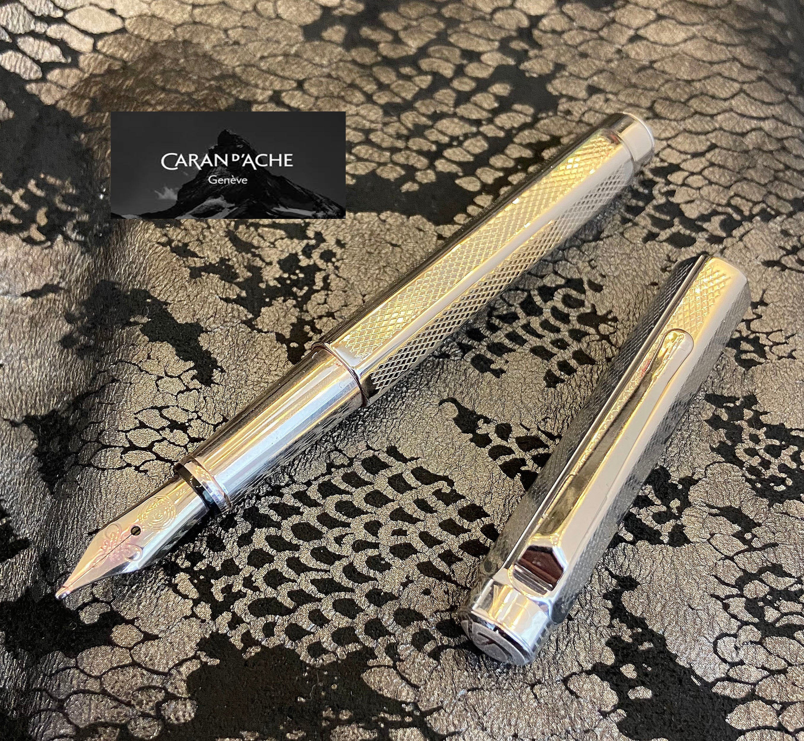 Caran d'Ache カランダッシュ エクリドール xs アンモナイト