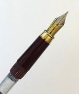 Diplomat, two tone, nib & section